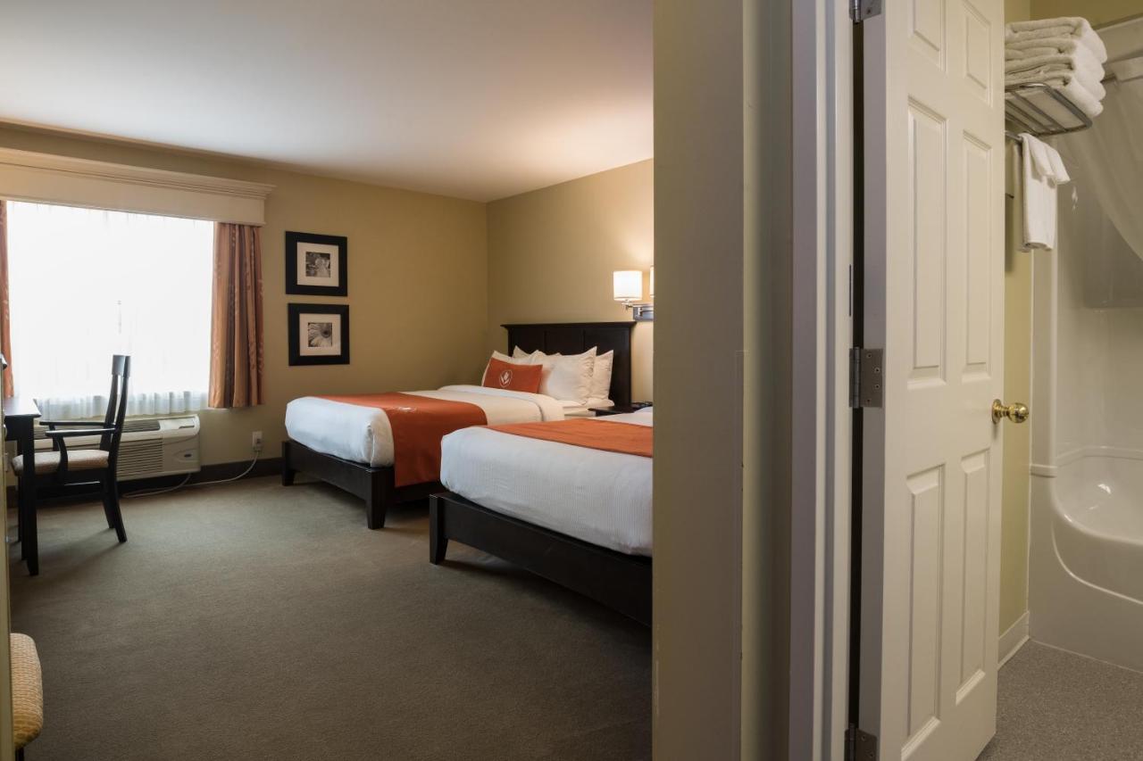Amsterdam Inn & Suites ساسكس المظهر الخارجي الصورة