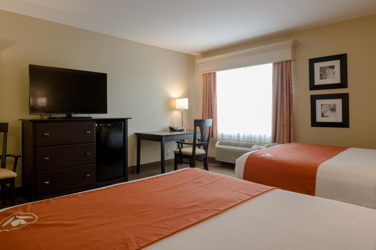 Amsterdam Inn & Suites ساسكس المظهر الخارجي الصورة