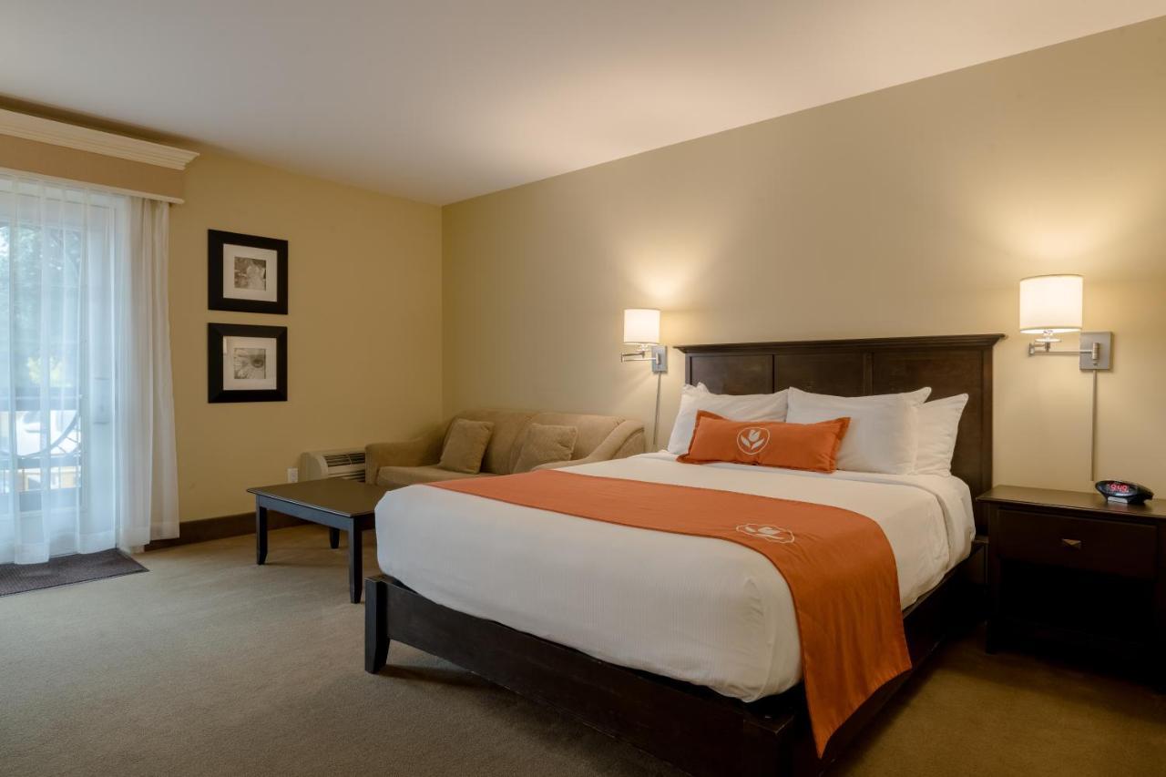 Amsterdam Inn & Suites ساسكس المظهر الخارجي الصورة
