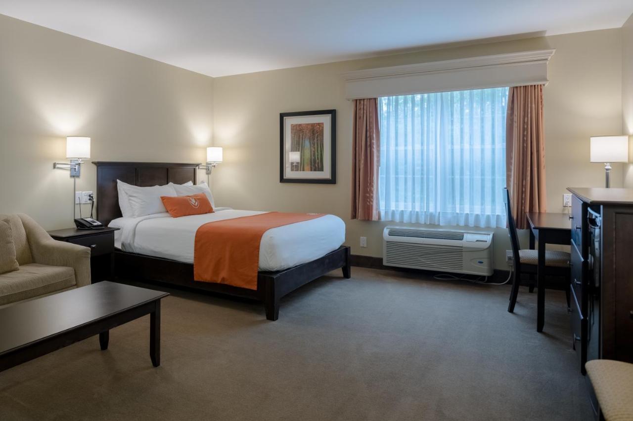 Amsterdam Inn & Suites ساسكس المظهر الخارجي الصورة