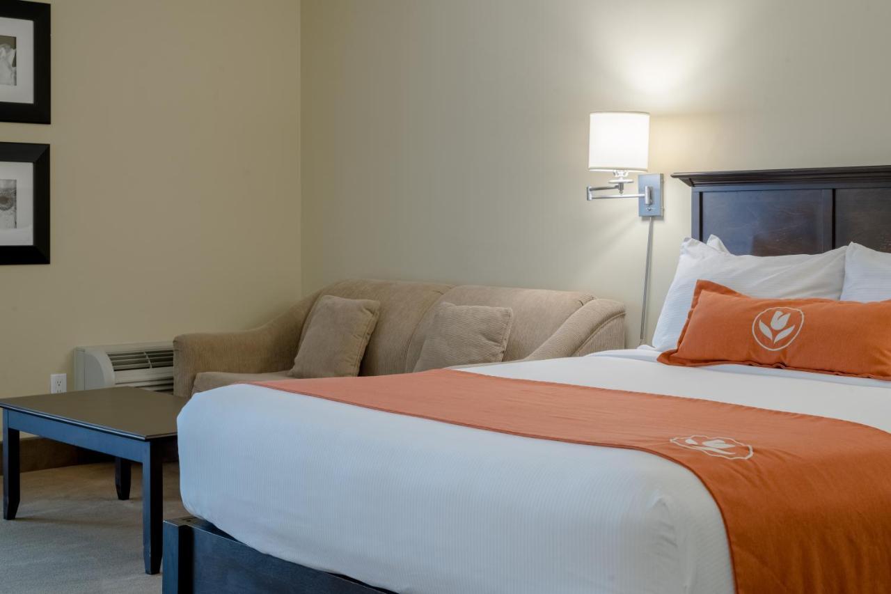 Amsterdam Inn & Suites ساسكس المظهر الخارجي الصورة