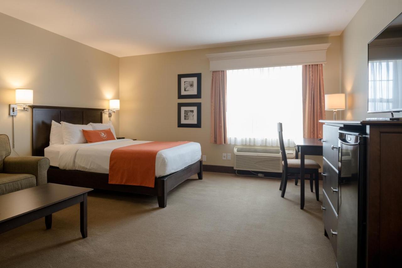 Amsterdam Inn & Suites ساسكس المظهر الخارجي الصورة