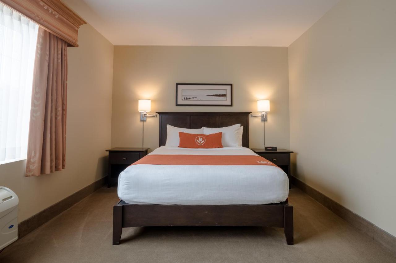Amsterdam Inn & Suites ساسكس المظهر الخارجي الصورة