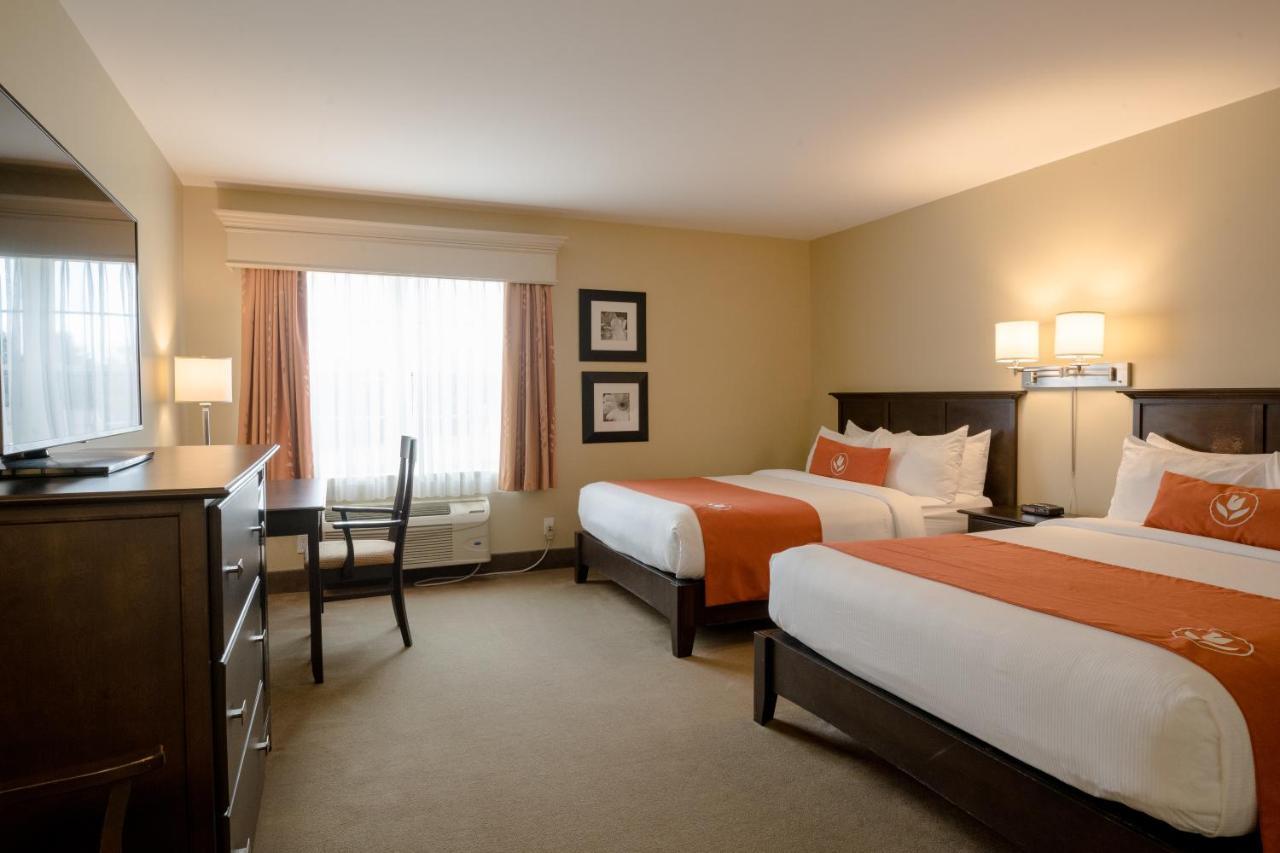 Amsterdam Inn & Suites ساسكس المظهر الخارجي الصورة