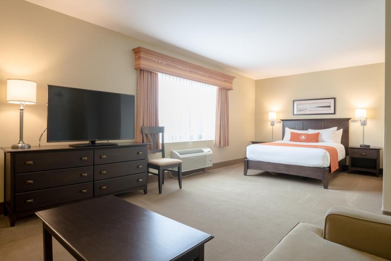 Amsterdam Inn & Suites ساسكس المظهر الخارجي الصورة