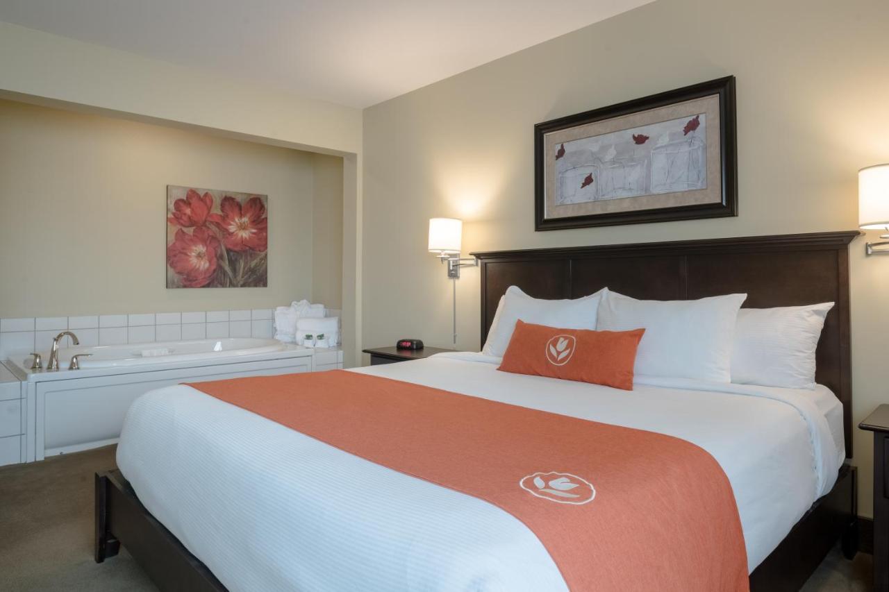 Amsterdam Inn & Suites ساسكس المظهر الخارجي الصورة