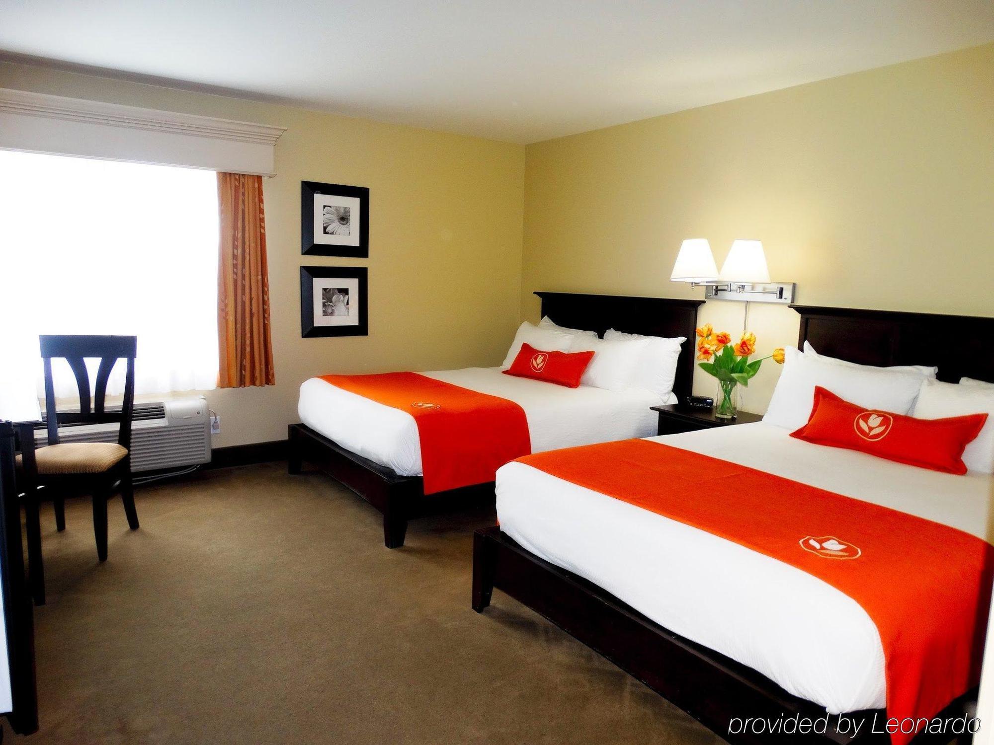 Amsterdam Inn & Suites ساسكس المظهر الخارجي الصورة