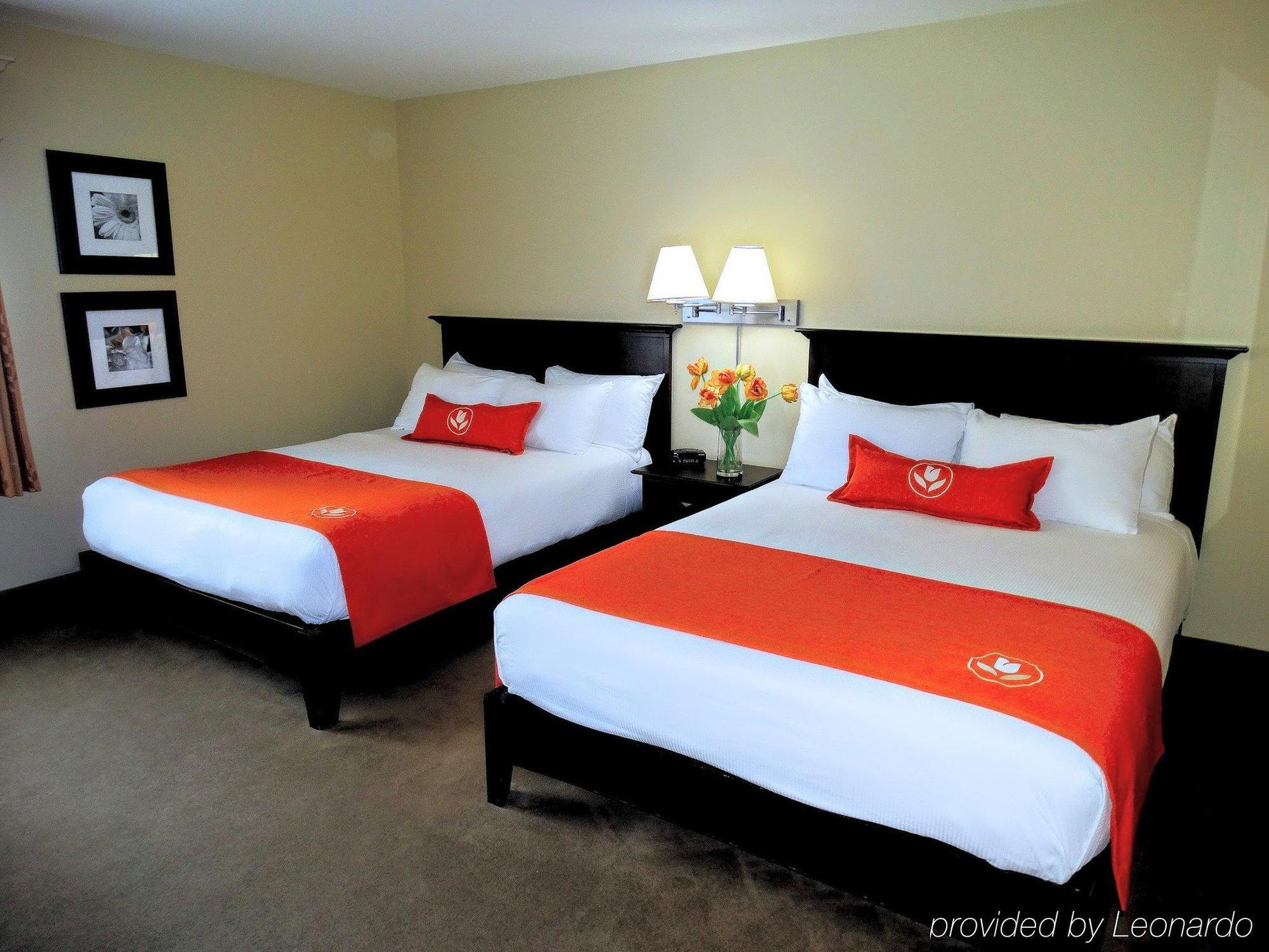 Amsterdam Inn & Suites ساسكس المظهر الخارجي الصورة