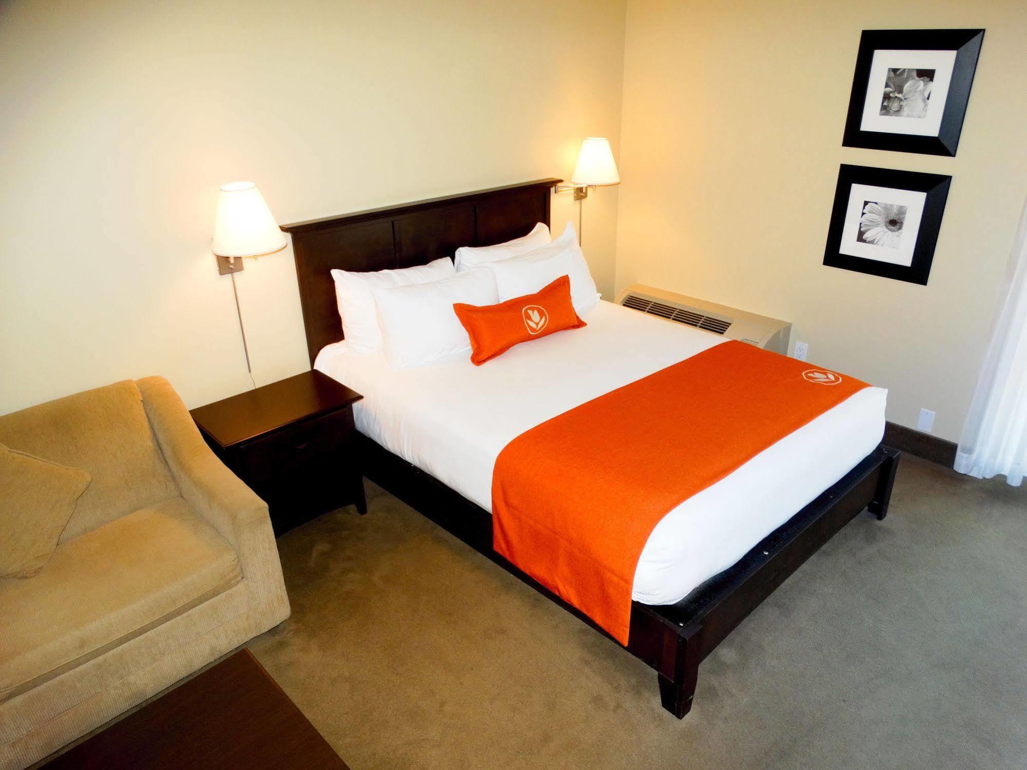 Amsterdam Inn & Suites ساسكس المظهر الخارجي الصورة