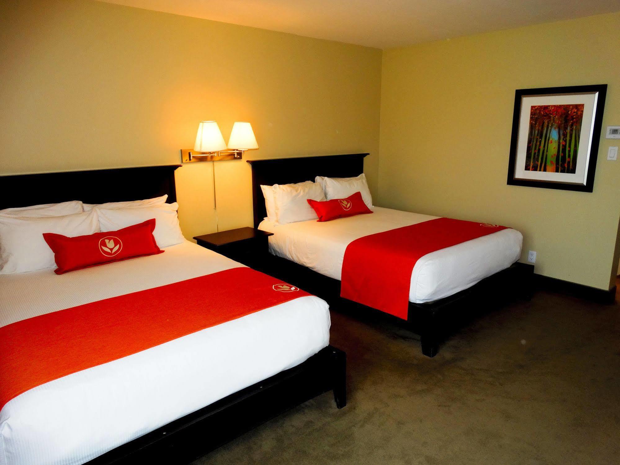 Amsterdam Inn & Suites ساسكس المظهر الخارجي الصورة