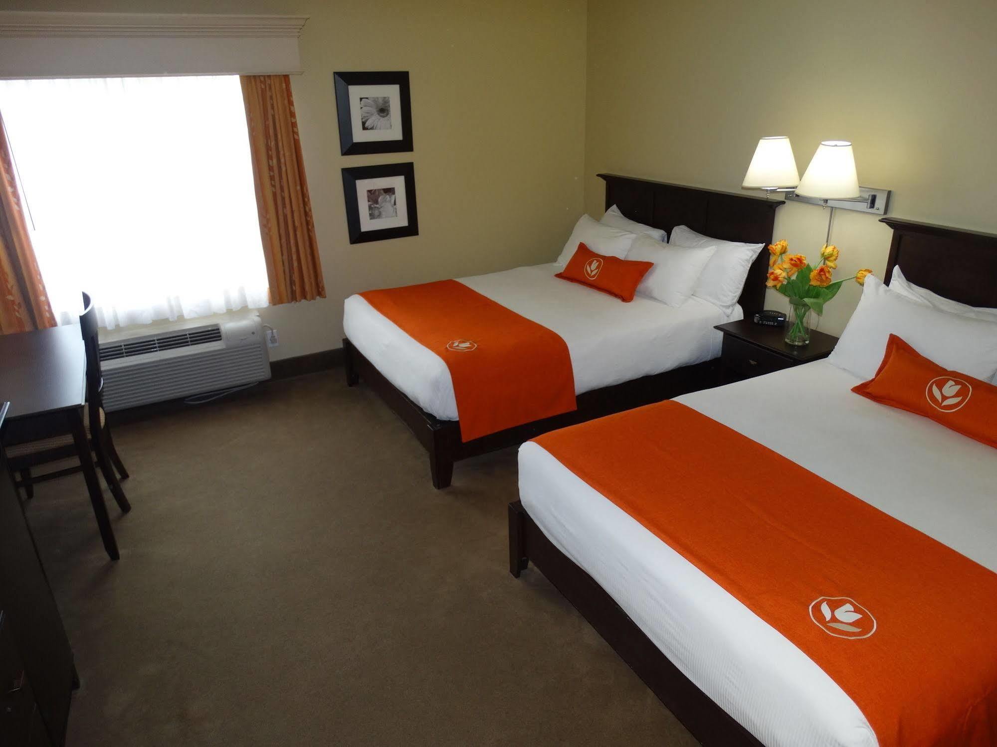 Amsterdam Inn & Suites ساسكس المظهر الخارجي الصورة