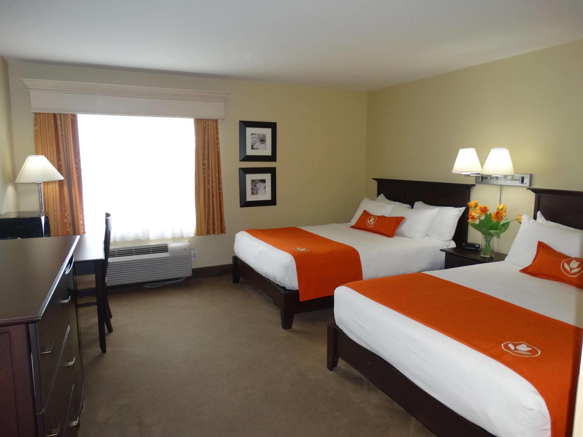 Amsterdam Inn & Suites ساسكس المظهر الخارجي الصورة