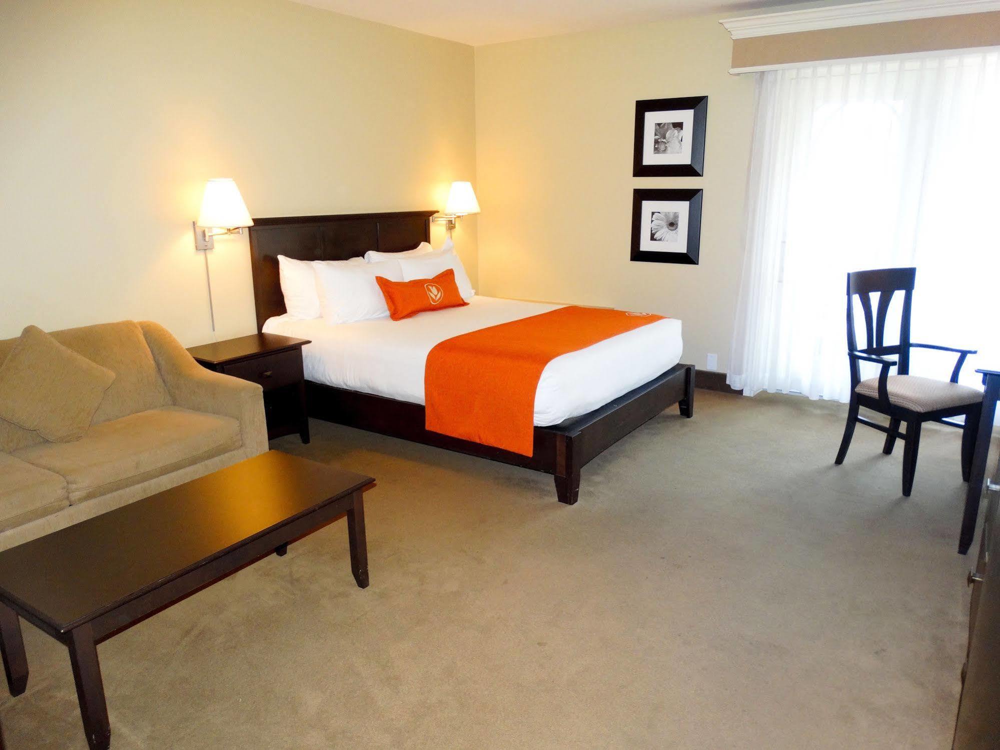 Amsterdam Inn & Suites ساسكس المظهر الخارجي الصورة
