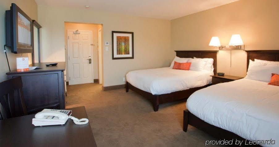 Amsterdam Inn & Suites ساسكس المظهر الخارجي الصورة